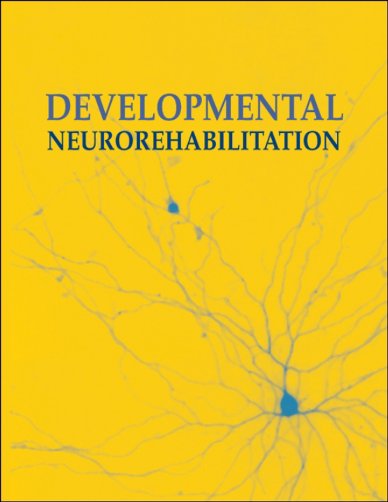 Cover image of Developmental Neurorehabilitation