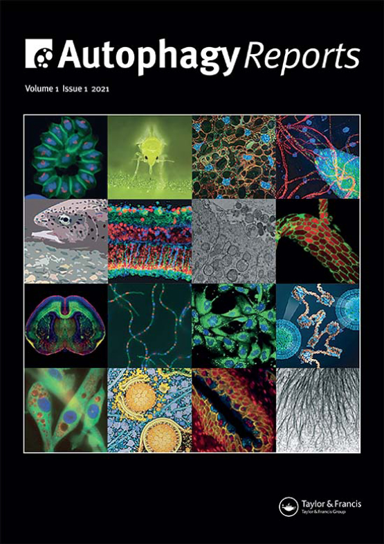 Cover image of Autophagy Reports