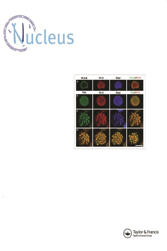 Cover image of Nucleus