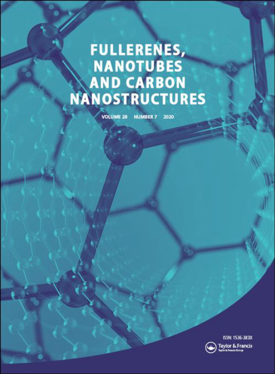 Cover image of Fullerenes, Nanotubes, and Carbon Nanostructures