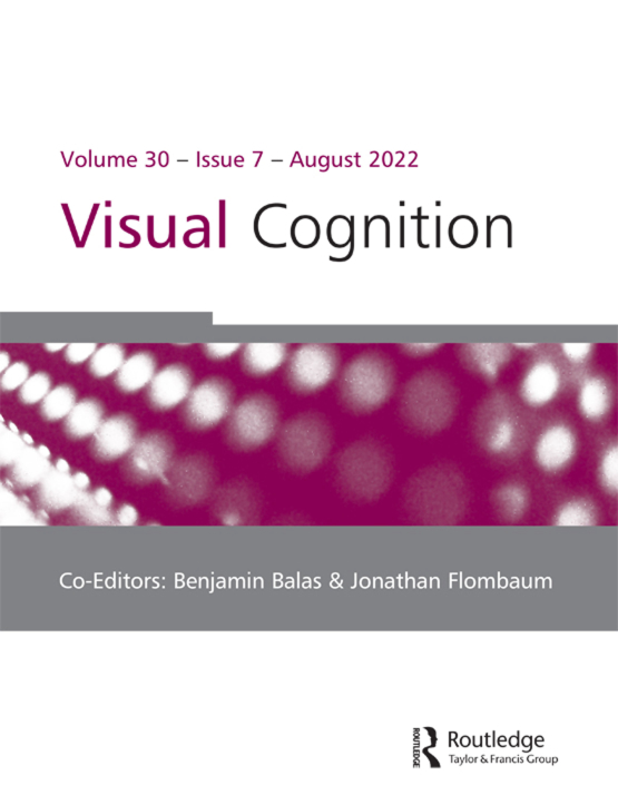 Cover image - Visual Cognition