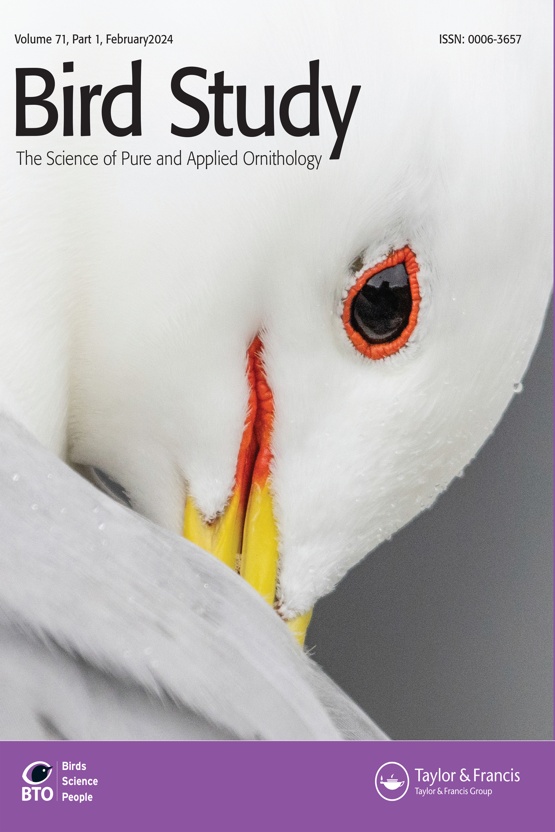 Cover image of Bird Study