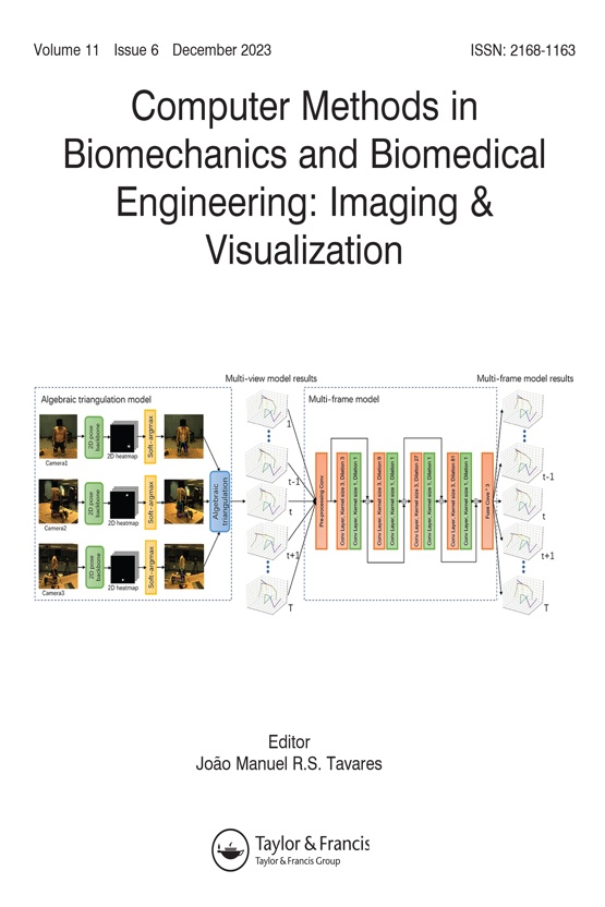 Cover image - Computer Methods in Biomechanics and Biomedical Engineering: Imaging & Visualization