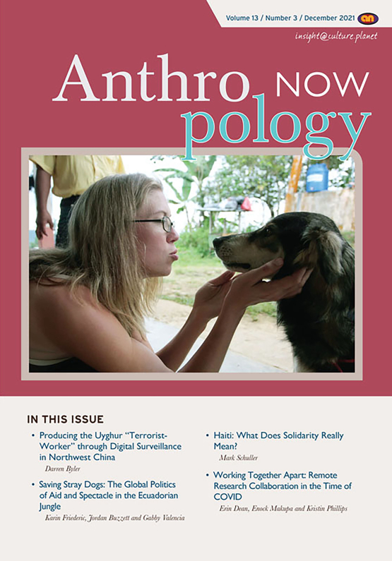Cover image of Anthropology Now